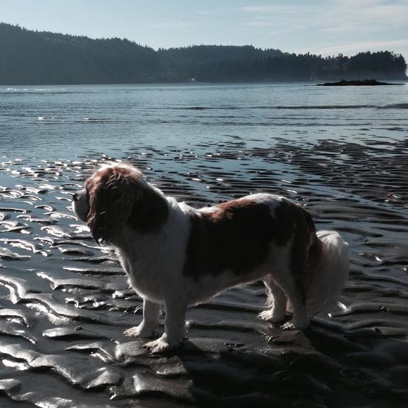 Meet your Posher, Laura - Picture 2 of 7